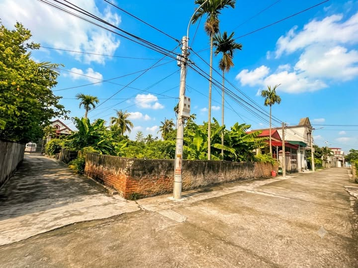 Bán đất lô góc thôn Tràng, Tam Đa, Vĩnh Bảo – gần 150m² thổ cư